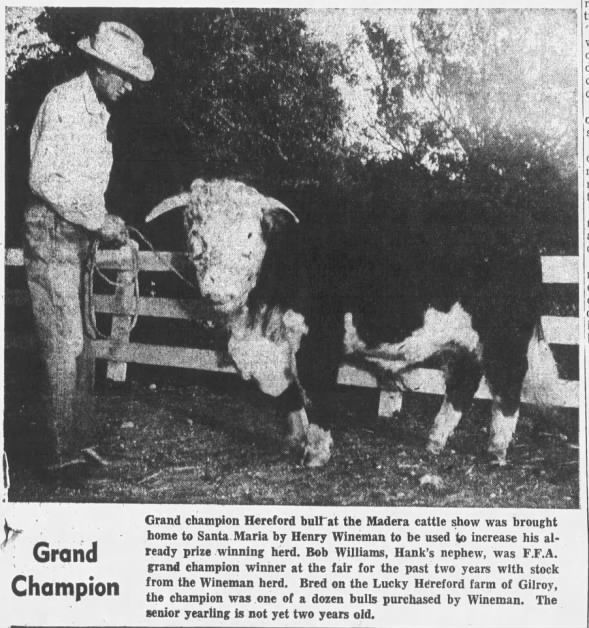 Clipping from Santa Maria Times